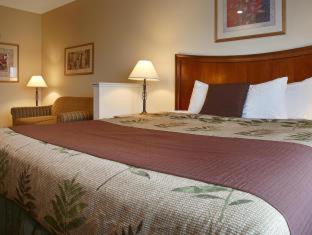 Best Western I-5 Inn & Suites Lodi Pokoj fotografie